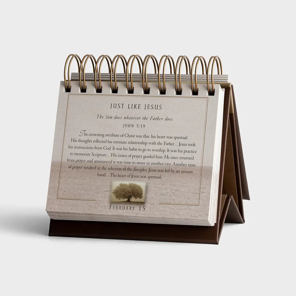 Grace For The Moment Calendar, Feathered Farmhouse