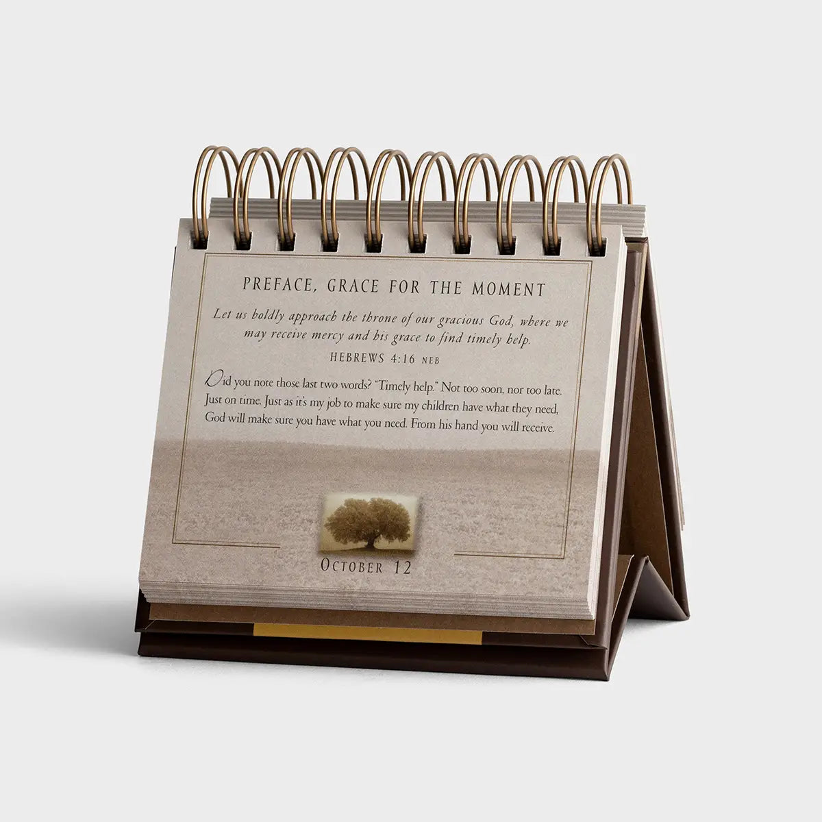 Grace For The Moment Calendar, Feathered Farmhouse