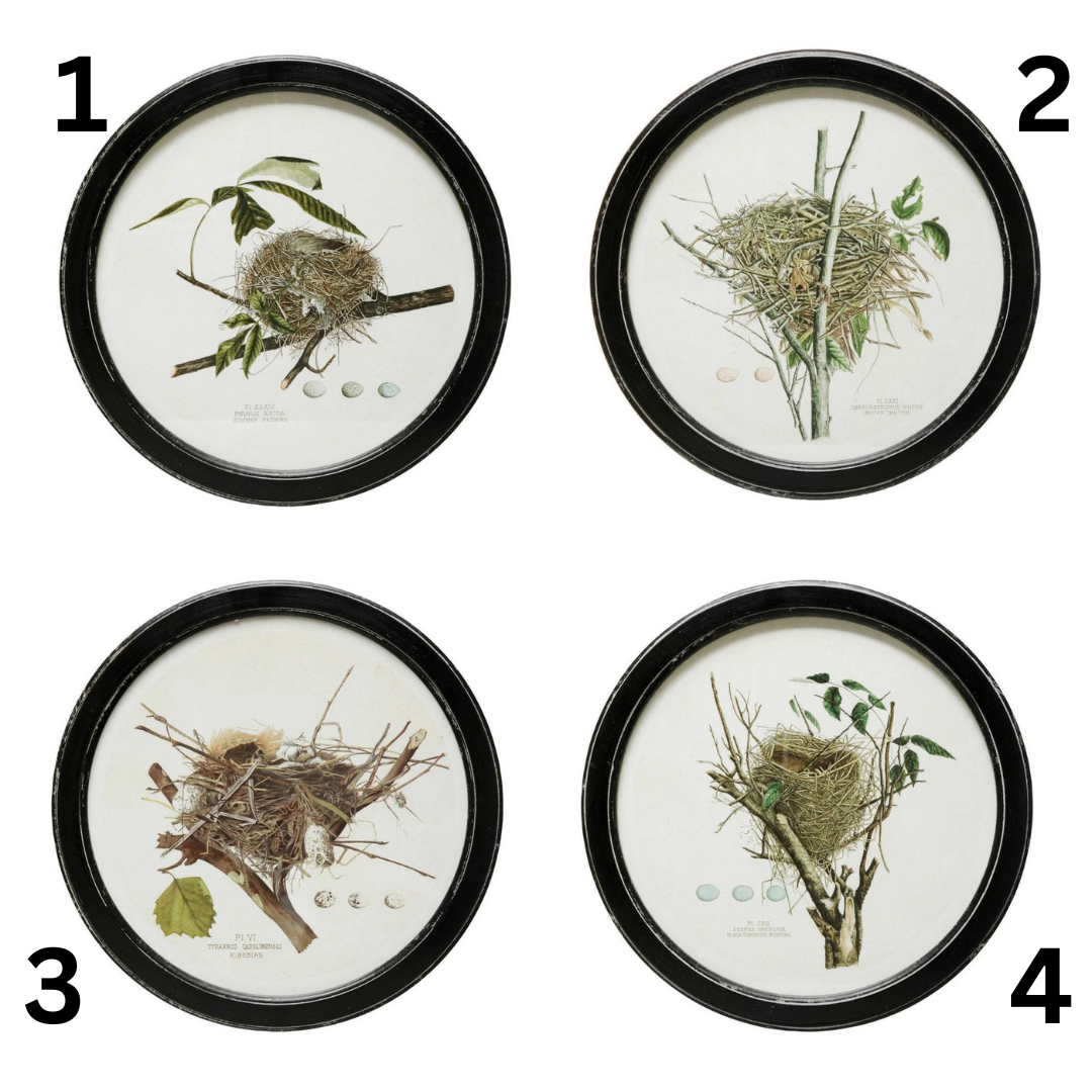 Framed Nest Prints, The Feathered Farmhouse