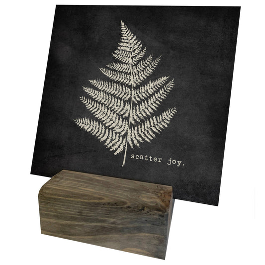 Scatter Joy Fern Leaf Mini Canvas, Feathered Farmhouse
