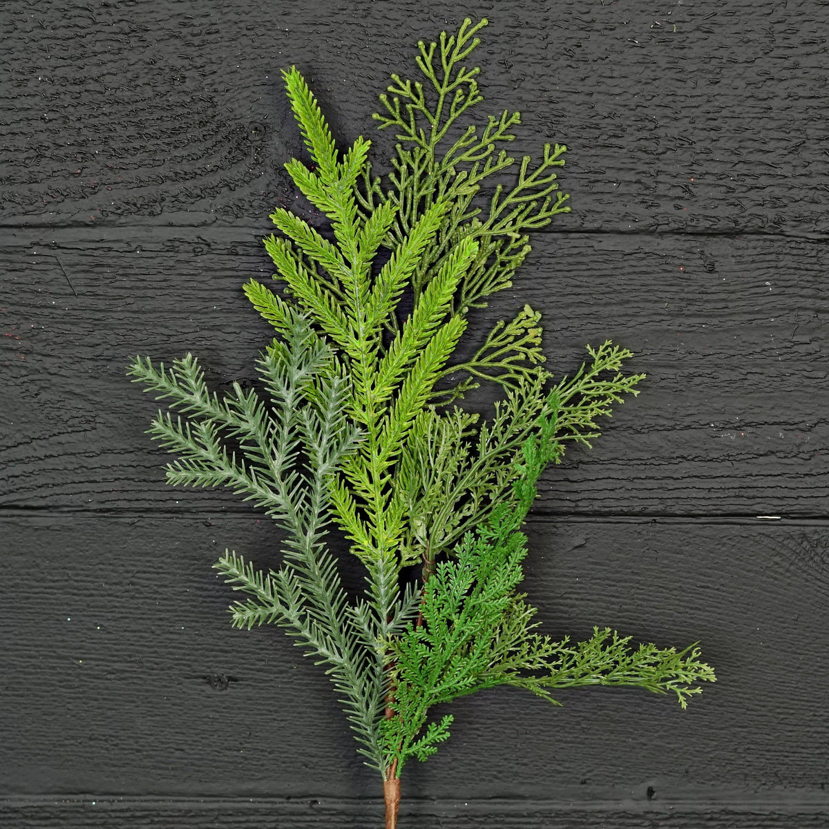 Cedar & Norfolk Pine Real Touch Stem, Feathered Farmhouse