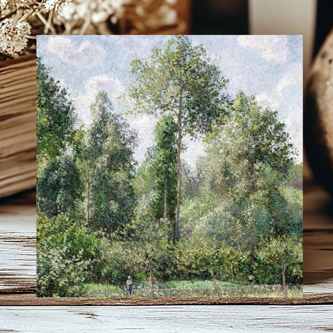 Poplars Insert, Feathered Farmhouse