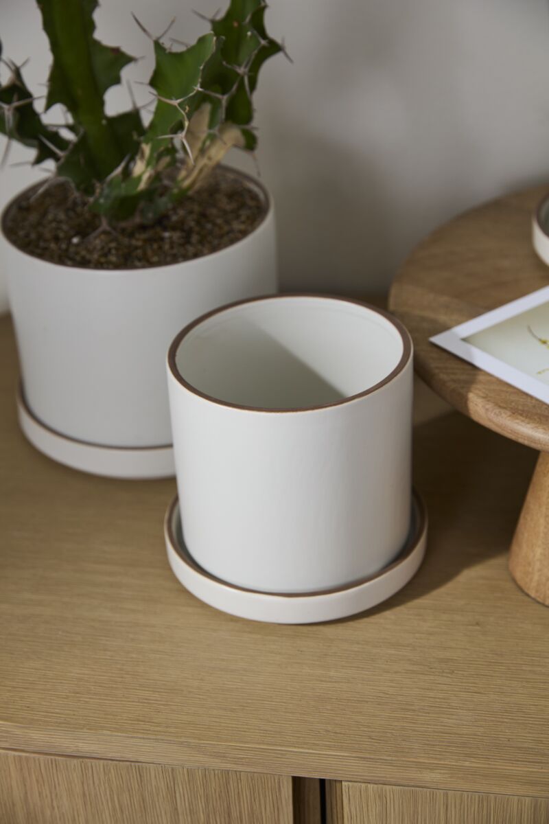 Author Pot with Saucer, Feathered Farmhouse