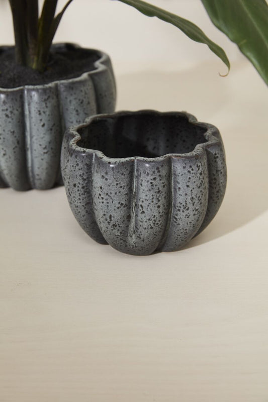 Black Spiced Pumpkin Pot, Feathered Farmhouse