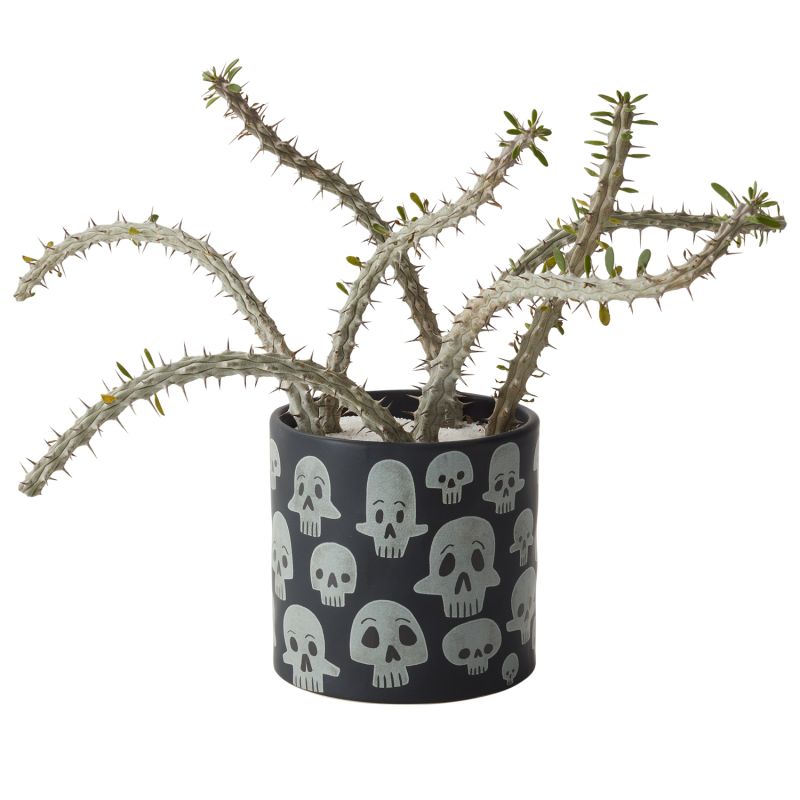 Calaca Pot, The Feathered Farmhouse