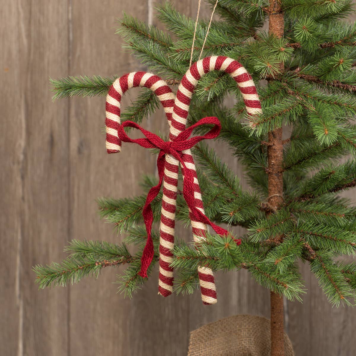 Pair of Candy Canes Ornament, Feathered Farmhouse