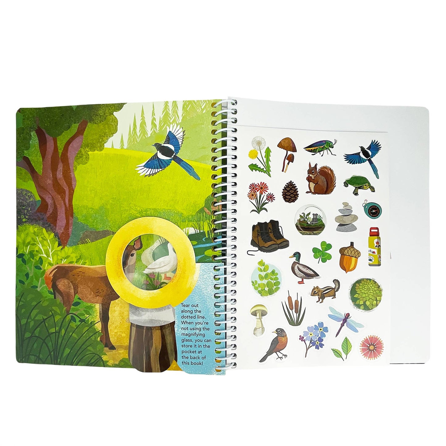 Outdoor Explorers: Take a Hike Activity Book, The Feathered Farmhouse