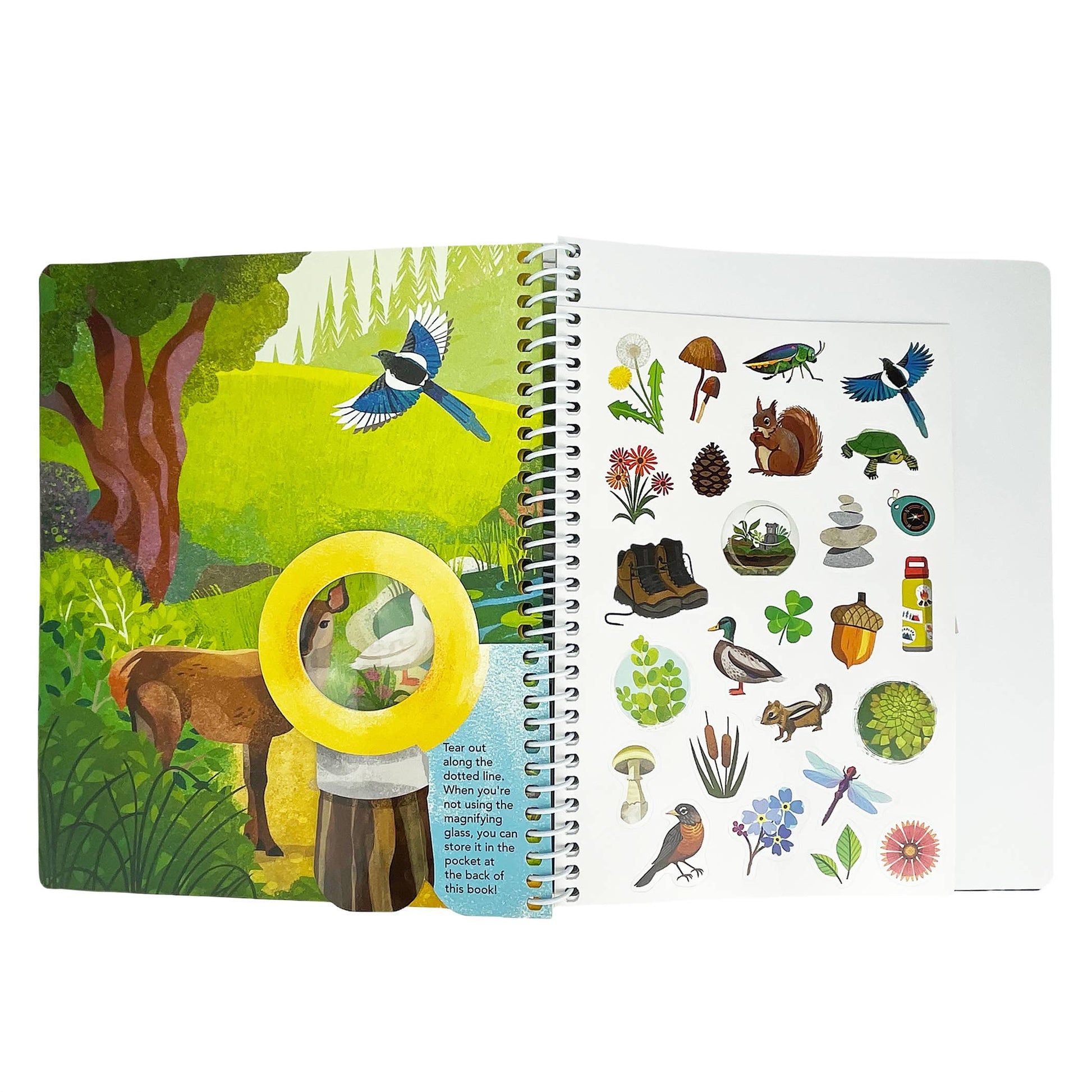 Outdoor Explorers: Take a Hike Activity Book, The Feathered Farmhouse