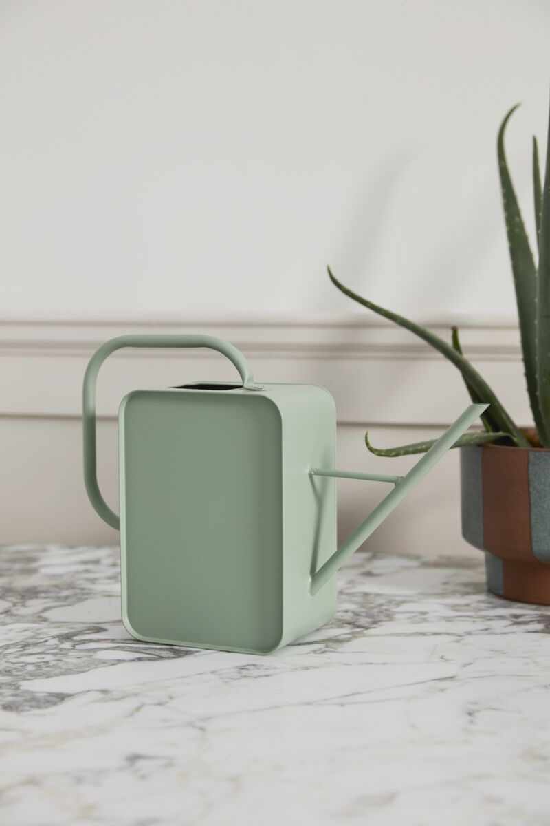 Region Watering Can, Feathered Farmhouse