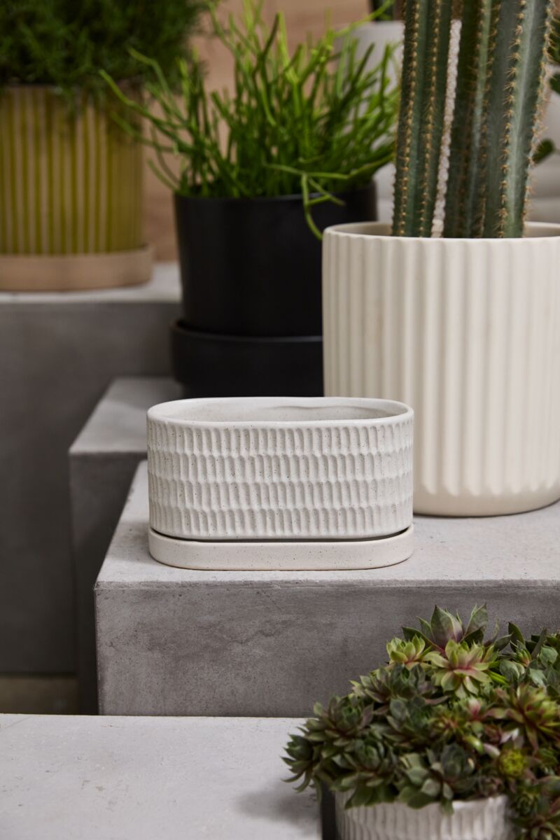 Zelle Planter with Saucer, Feathered Farmhouse