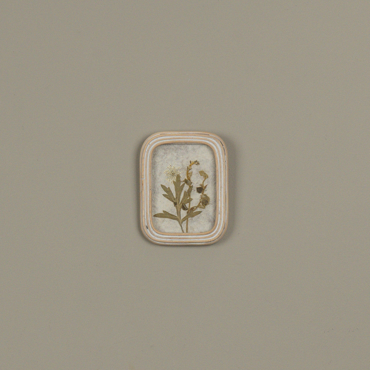 Framed Pressed White Flower, Feathered Farmhouse