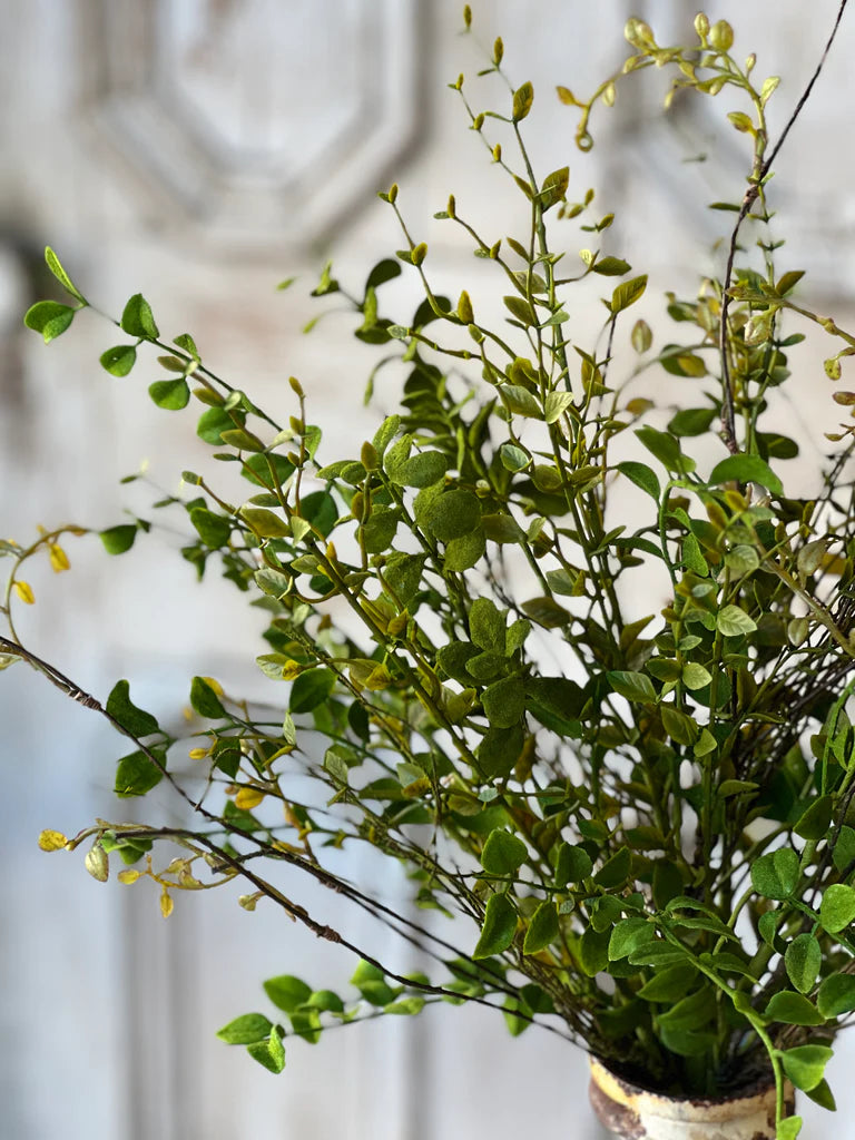 Greenridge Bush, The Feathered Farmhouse