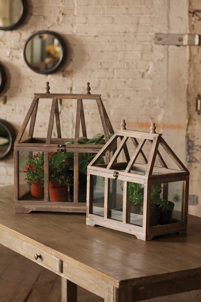 wooden terrarium plants Wood + Glass Terrariums