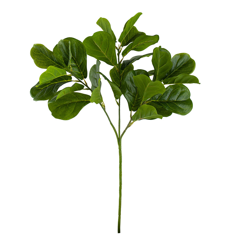 Fiddle Leaf Branch, The Feathered Farmhouse