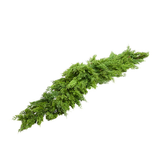 Cedar Swag, Feathered Farmhouse