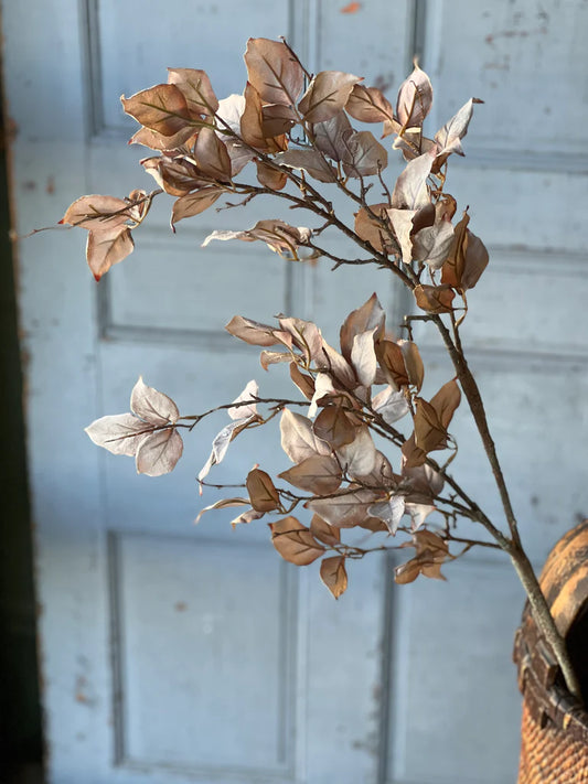 Windrush Leaves, Feathered Farmhouse