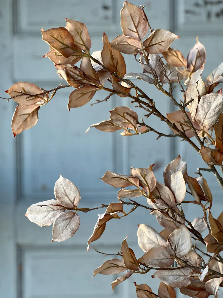 Windrush Leaves, Feathered Farmhouse