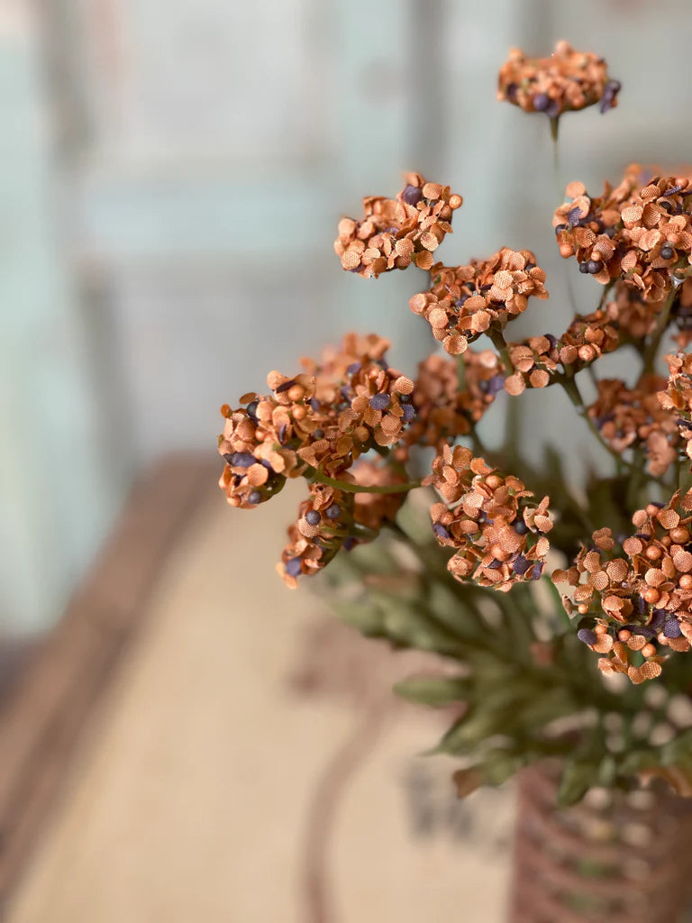 Fennel Flower Bundle, Feathered Farmhouse