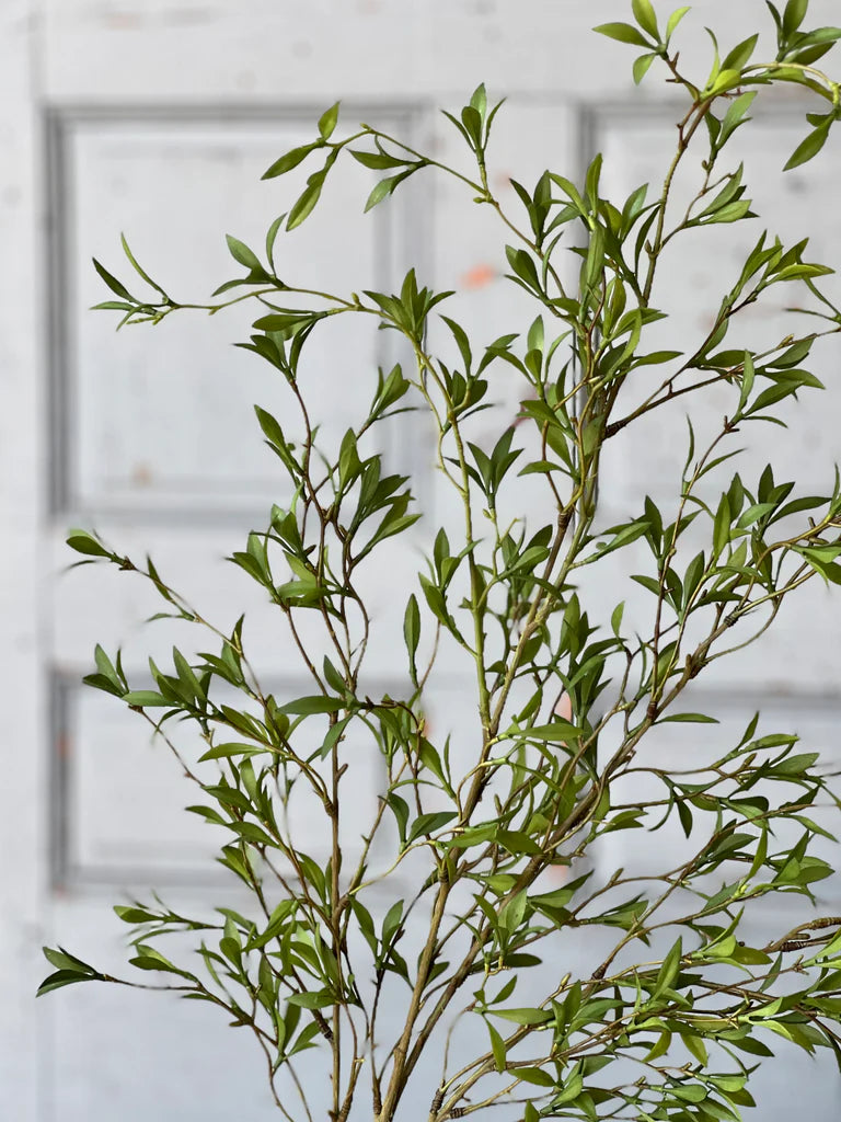 Sundial Leaves Spray, Feathered Farmhouse