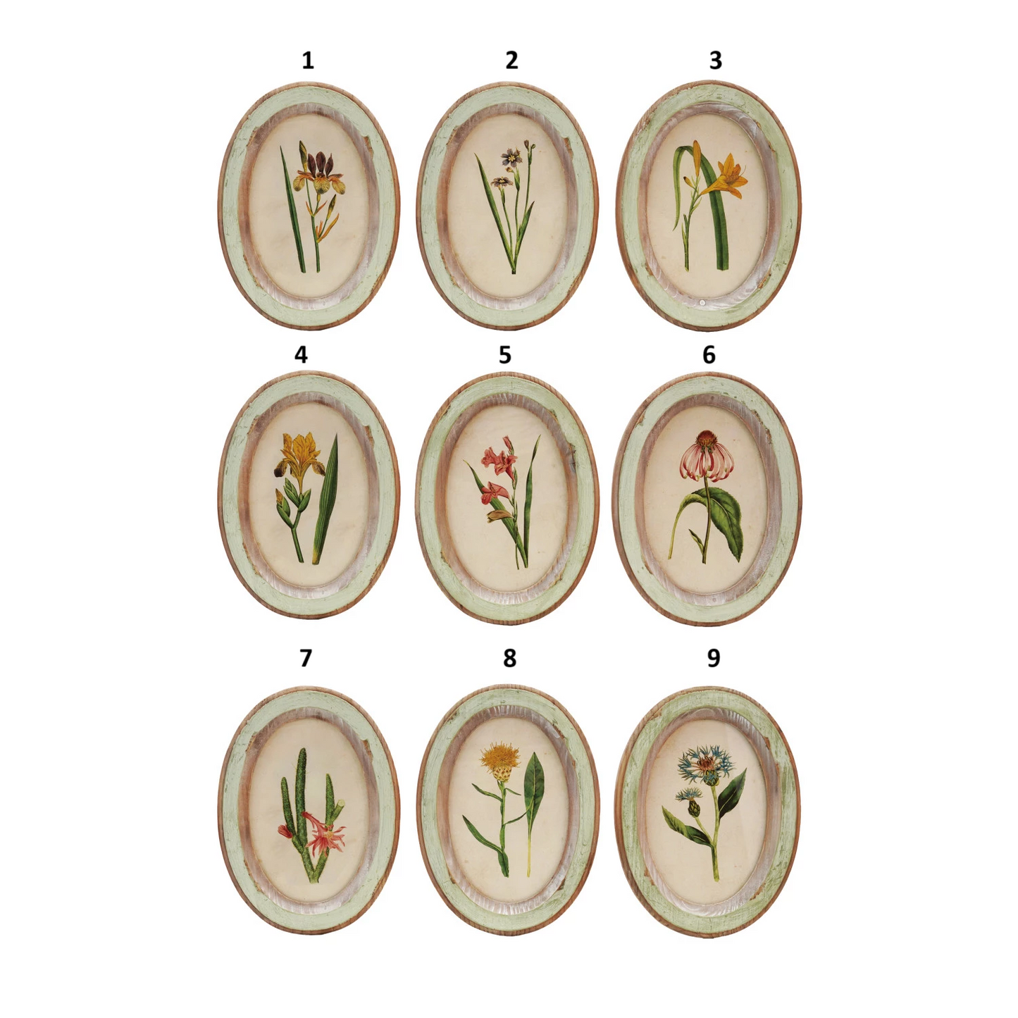 Wood Framed Glass Wall Decor with Flower, Feathered Farmhouse