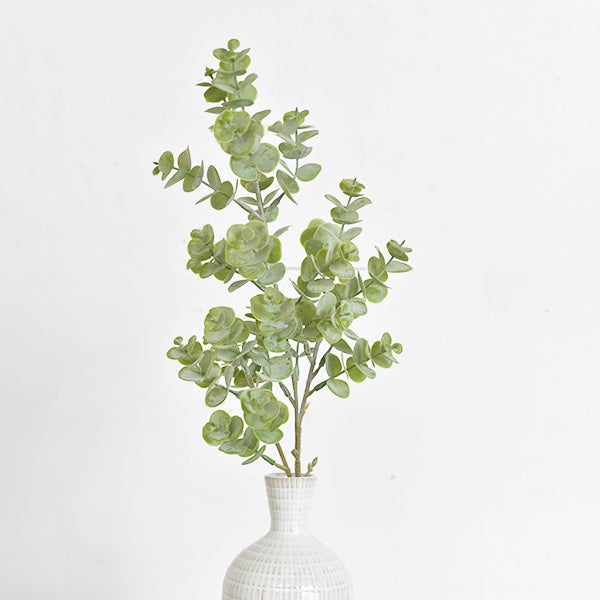 Eucalyptus, The Feathered Farmhouse