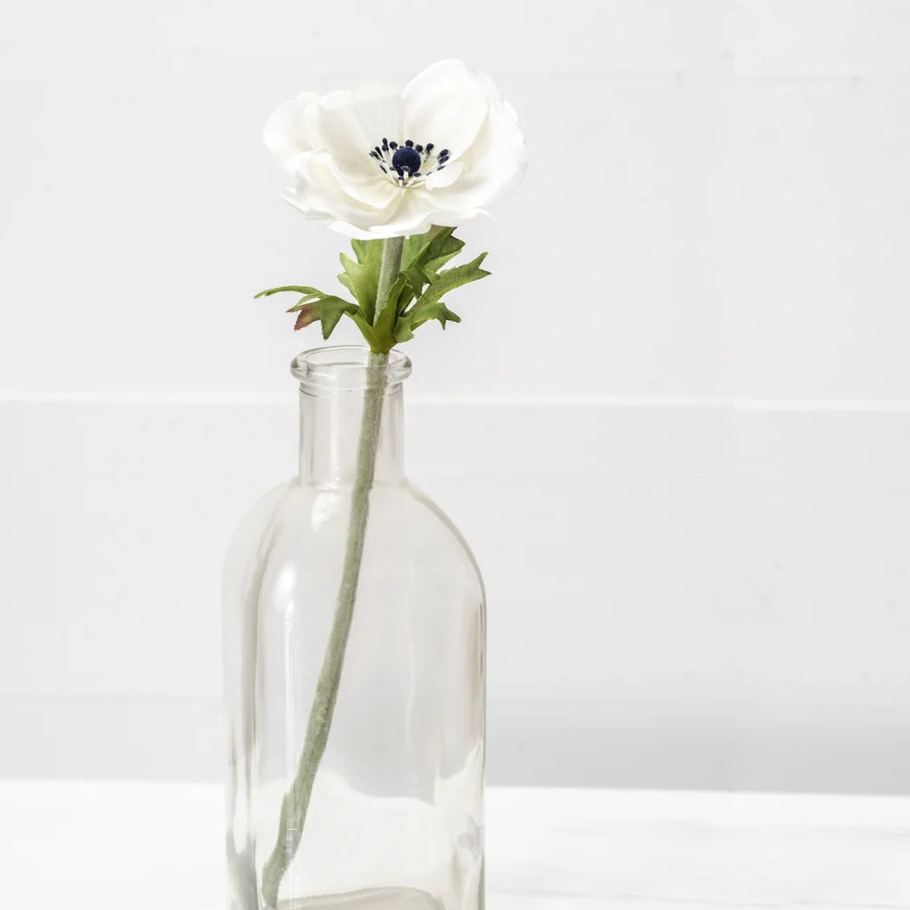 White Poppy Flower