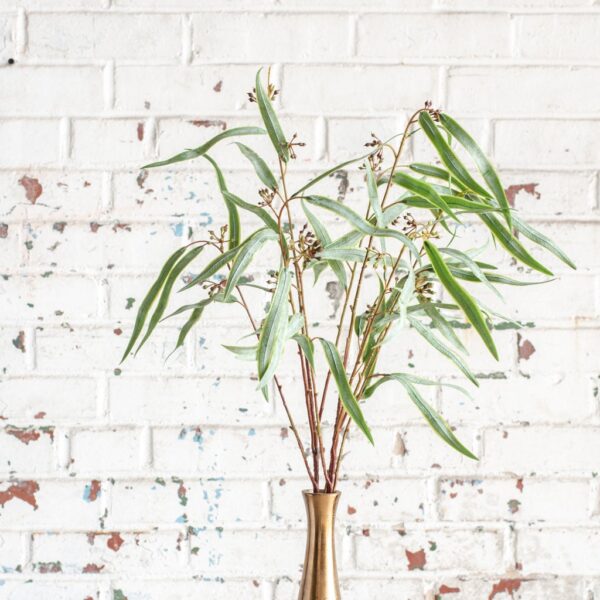 Leaf Spray w/ Berries, The Feathered Farmhouse