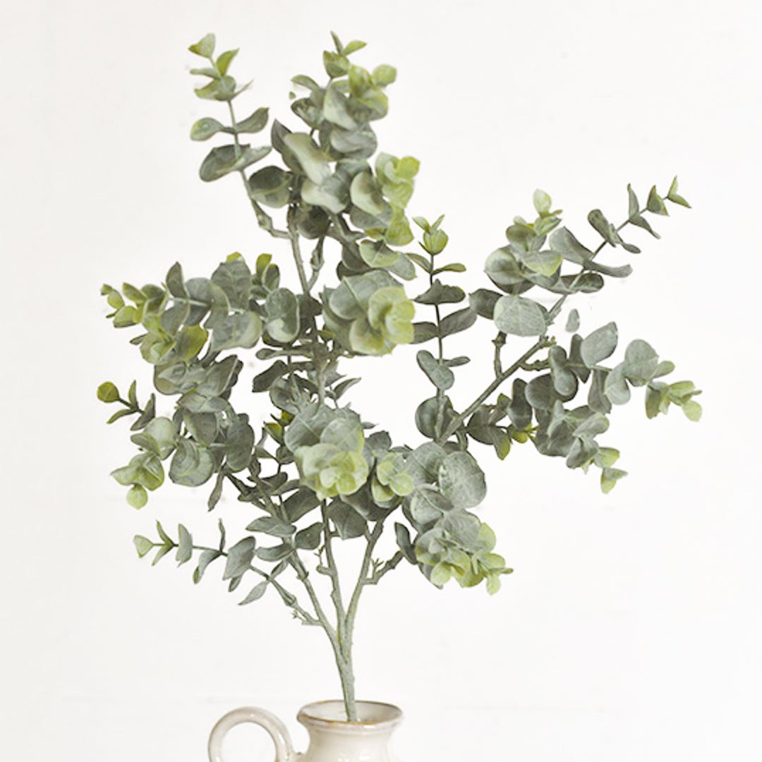 Eucalyptus Spray, The Feathered Farmhouse