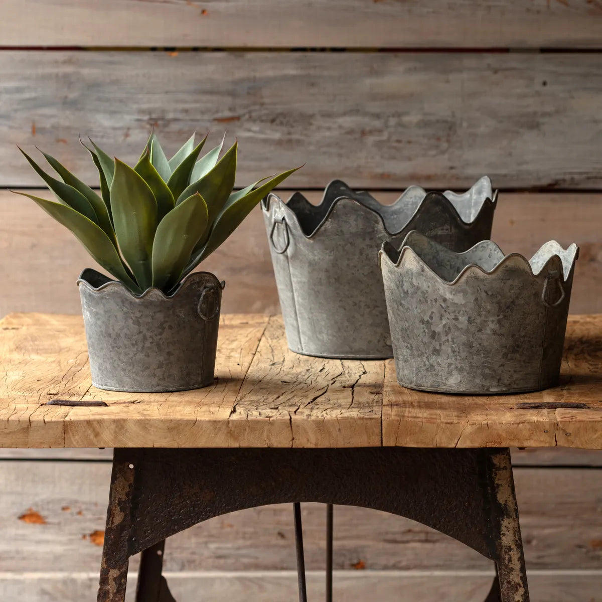 Corona Metal Planters, Feathered Farmhouse