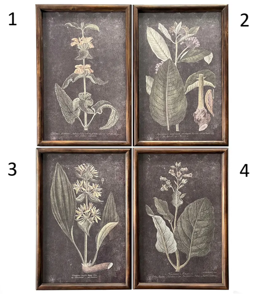 Noir Botanical Prints, Feathered Farmhouse