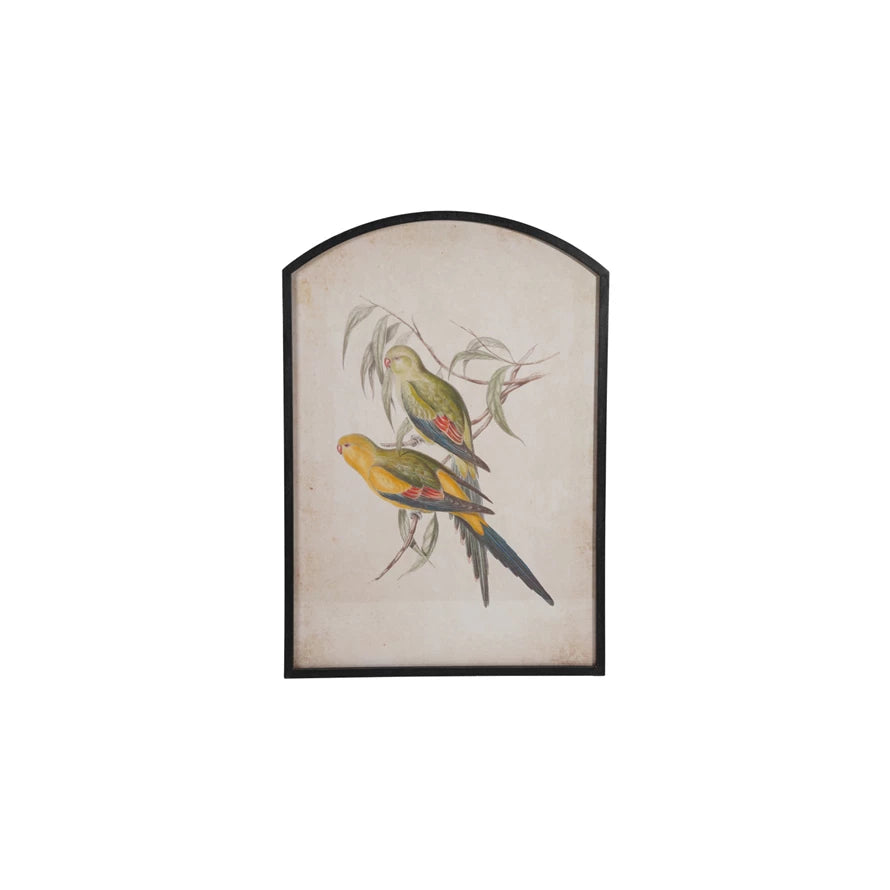 Wood Framed Wall Décor with Vintage Reproduction Parakeet, Feathered Farmhouse