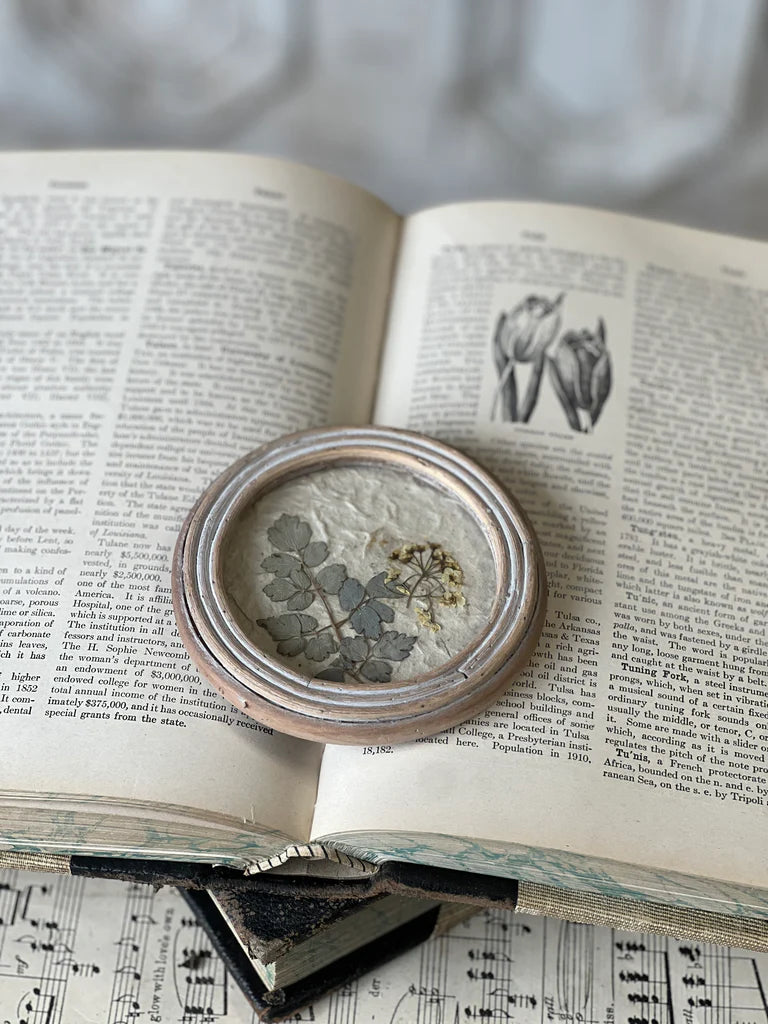 Jardin Botanicals No. 1, Feathered Farmhouse