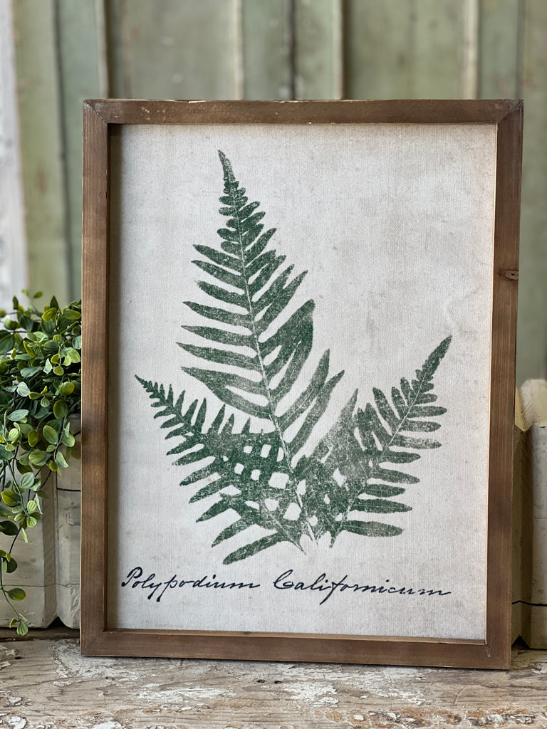 Forest Glen Fern Prints, The Feathered Farmhouse