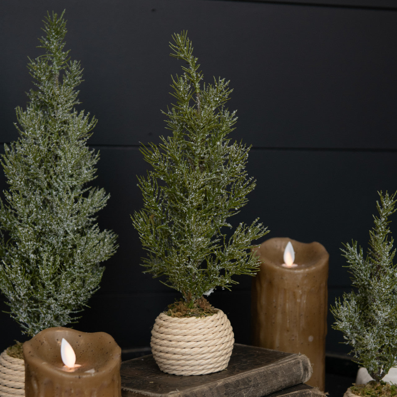 Verbier Tree in Pot, Feathered Farmhouse