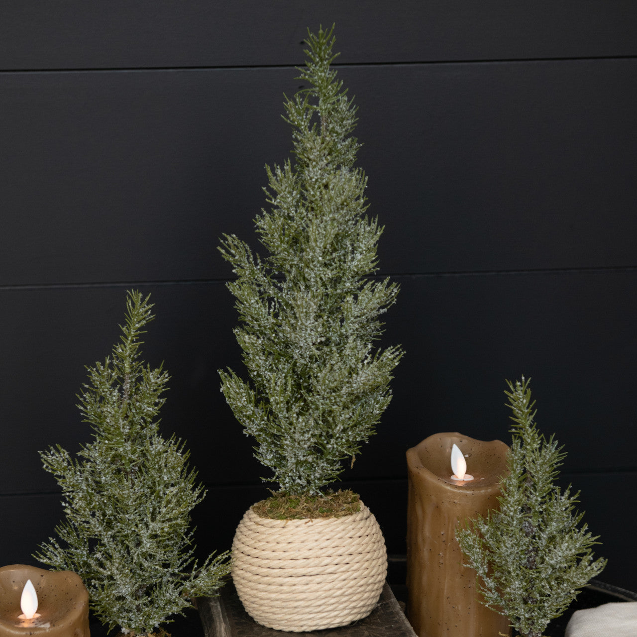 Verbier Tree in Pot, Feathered Farmhouse