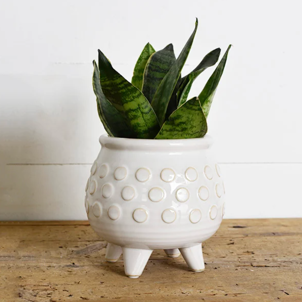 Ceramic Dot Planter, The Feathered Farmhouse