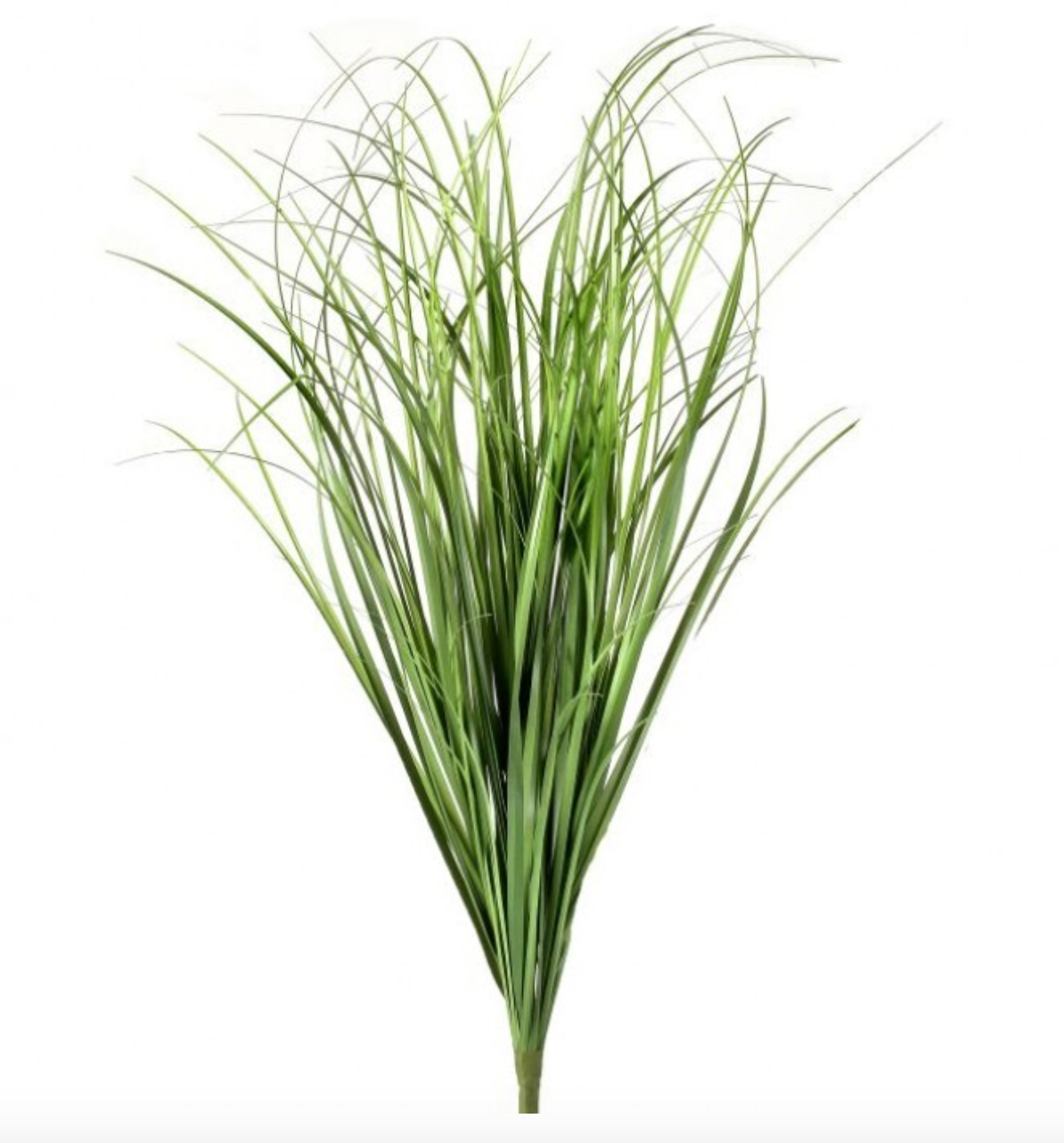 Herb Grass Bush, The Feathered Farmhouse