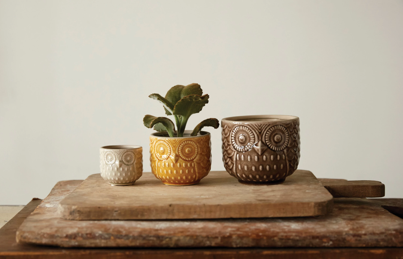 Owl Pot