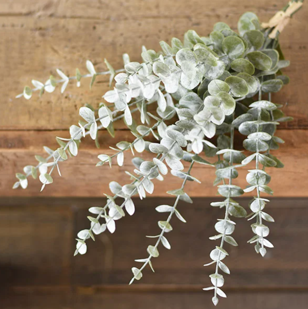 Powder Wash Eucalyptus Bundle, The Feathered Farmhouse