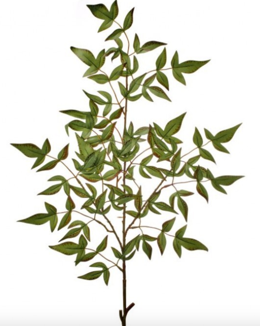 Nadina Spray, The Feathered Farmhouse