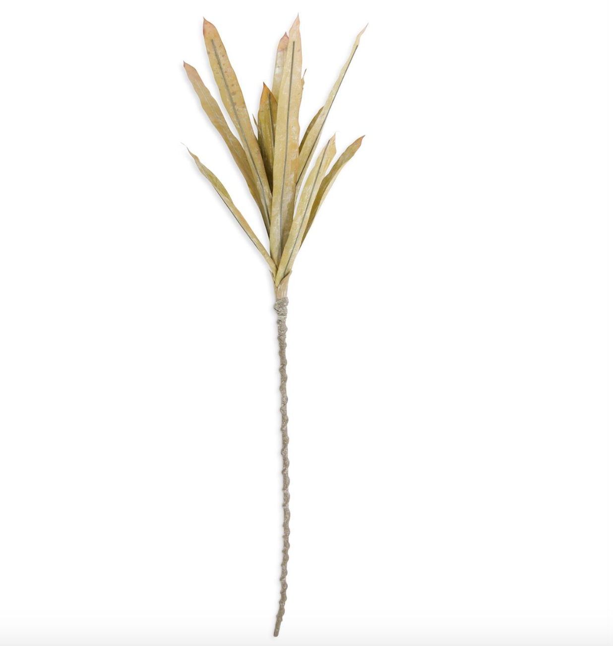 Pineapple Leaves Stem, The Feathered Farmhouse