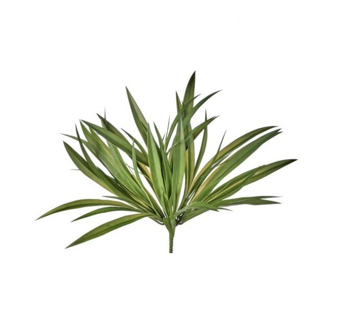 Green Vanilla Grass Bush, The Feathered Farmhouse