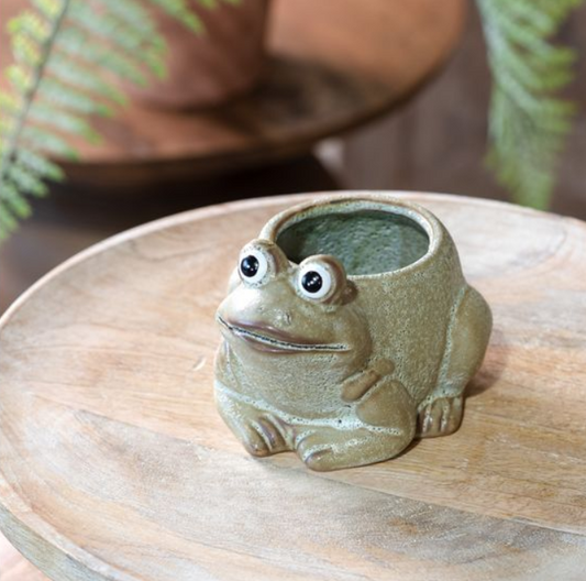 Ceramic Frog Planter, Feathered Farmhouse