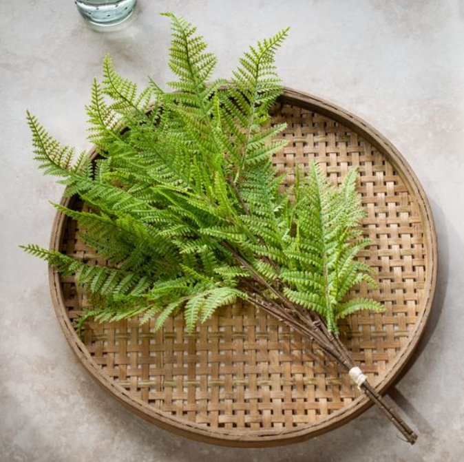 Fern Bundle, Feathered Farmhouse