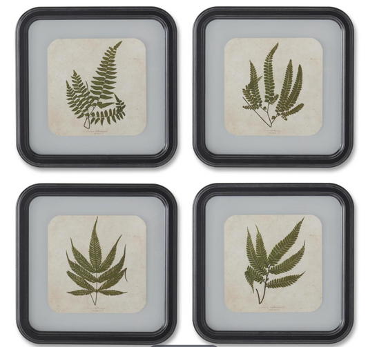 Rounded Framed Fern Prints, Feathered Farmhouse