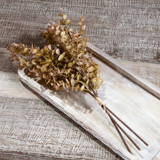 Eucalyptus Bundle, Feathered Farmhouse