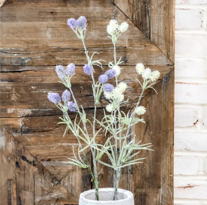 Assorted Stems, Feathered Farmhouse