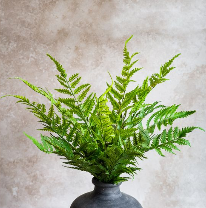 Fern Bush Stem, Feathered Farmhouse