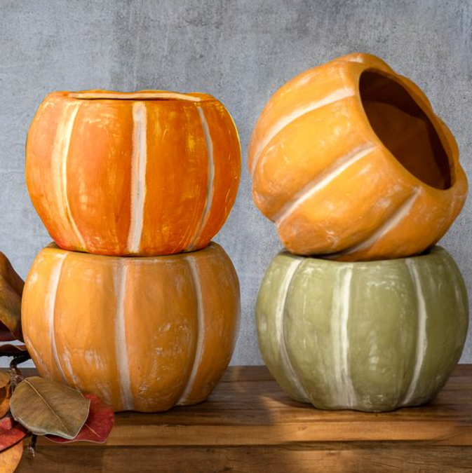 Open Top Pumpkin, Feathered Farmhouse