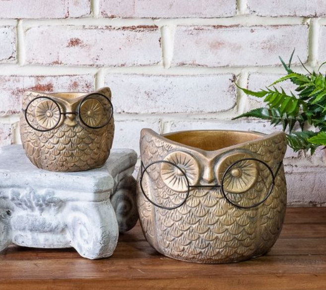 Gold Owl with Glasses Planter, Feathered Farmhouse